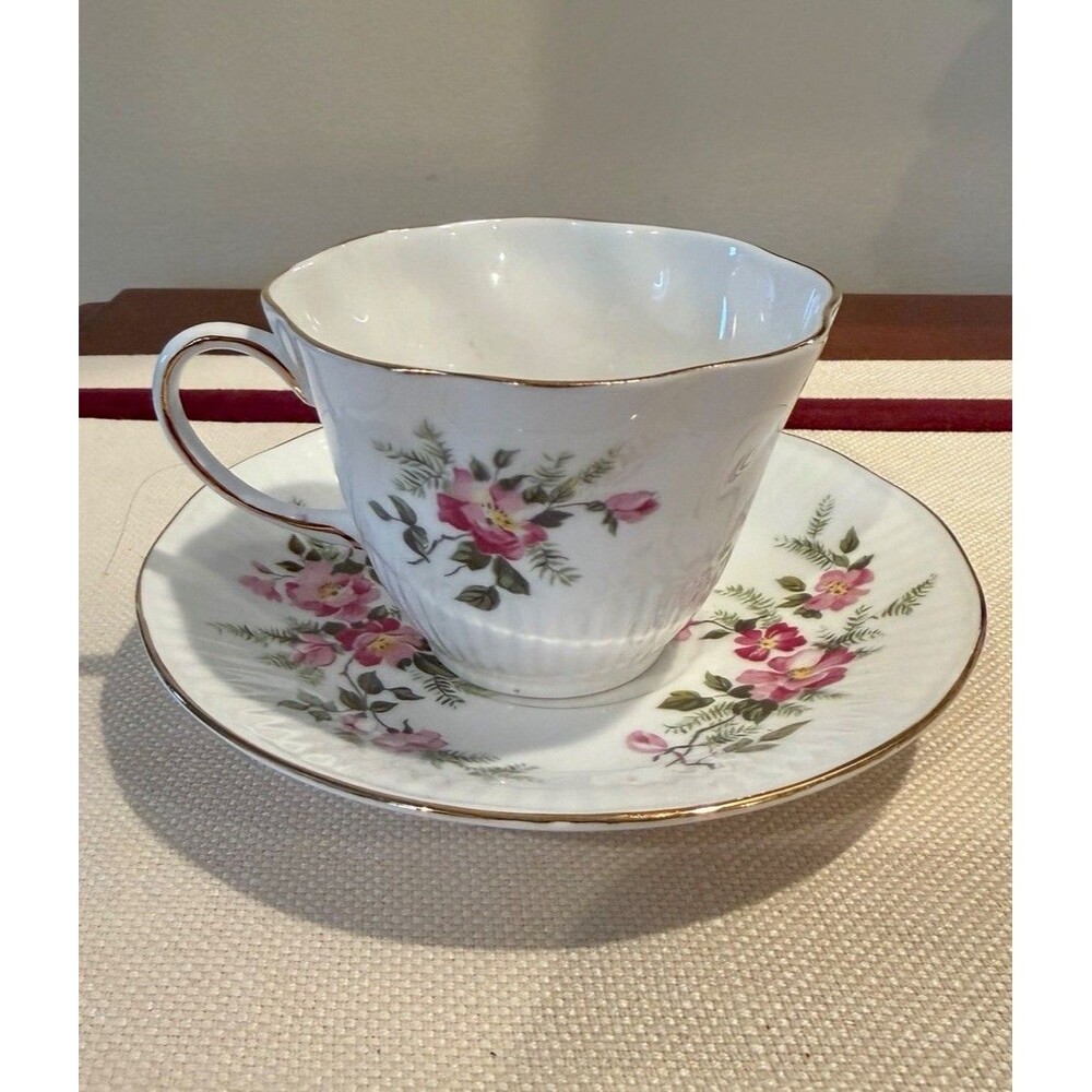 Vintage Queen's China Wild Pink Roses Teacup and Saucer